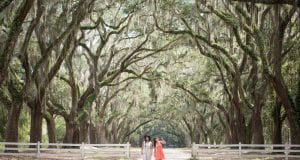 two women standing under a stunning tunnel of trees