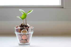 Coins with plant